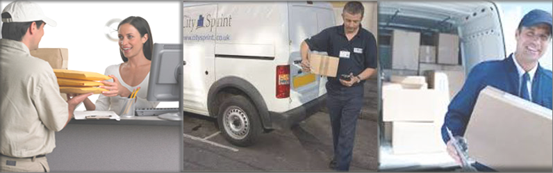 knz logistics