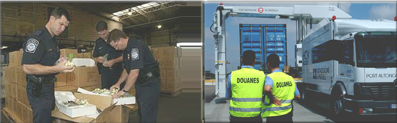 knz logistics