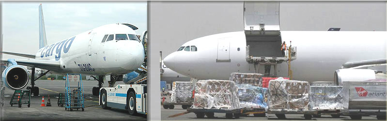 knz logistics